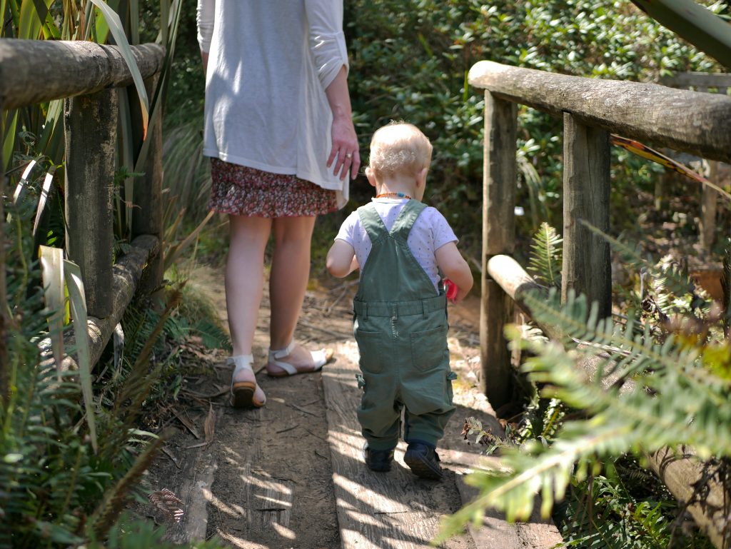 bushwalking